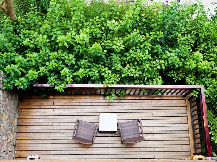 lesena terasa dekoracija zunanje oblikovanje leseno pohištvo vrtna meja skriva pogled nasproti zelene stene grmičevje drevesa