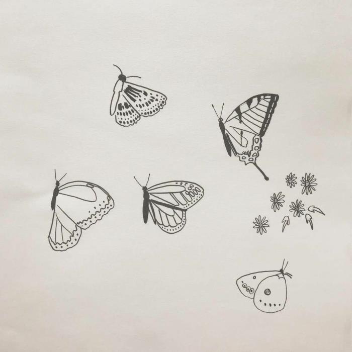 Įvairių rūšių pelėdos piešia drugelius, popierių ir pieštukus juodai baltam piešimui