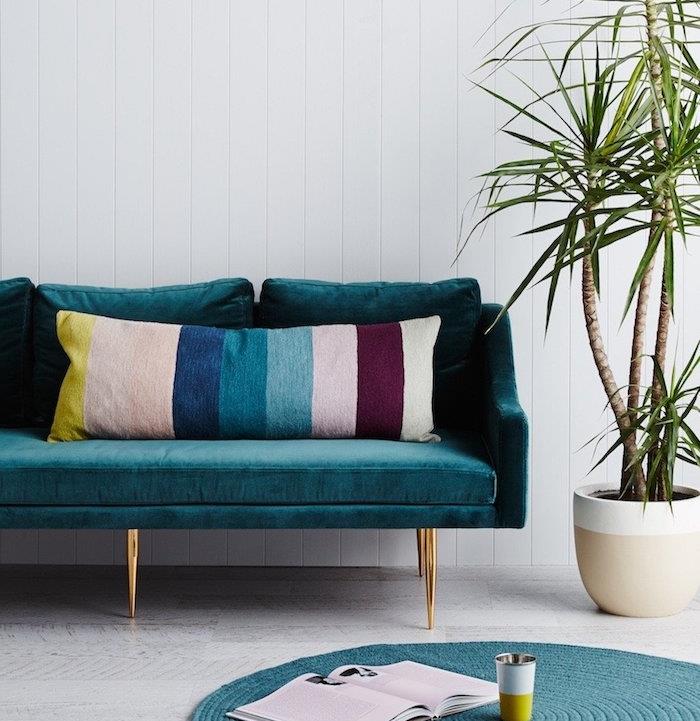 benzino mėlyna sofa, rožinė, raudona, mėlyna ir geltona dryžuotos pagalvėlės, žalias augalas, balta grindų danga, anties mėlynas apvalus kilimas, balta sieninė siena