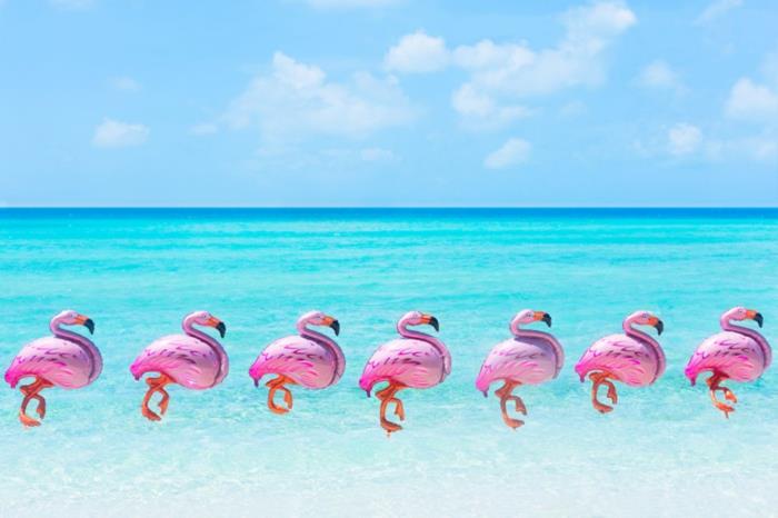 ocean s turkizno modro vodo z napihljivimi flamingi, okrasni venec za plažo, modro nebo z belimi oblaki