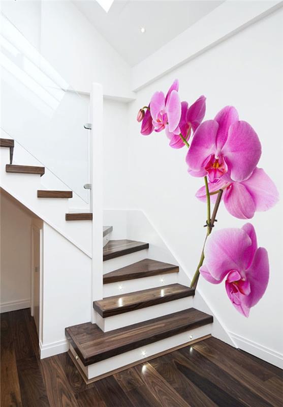 mažo biudžeto projektas, skirtas laiptų atnaujinimui su orchidėjų rašto tapetais, kurie suteikia energijos