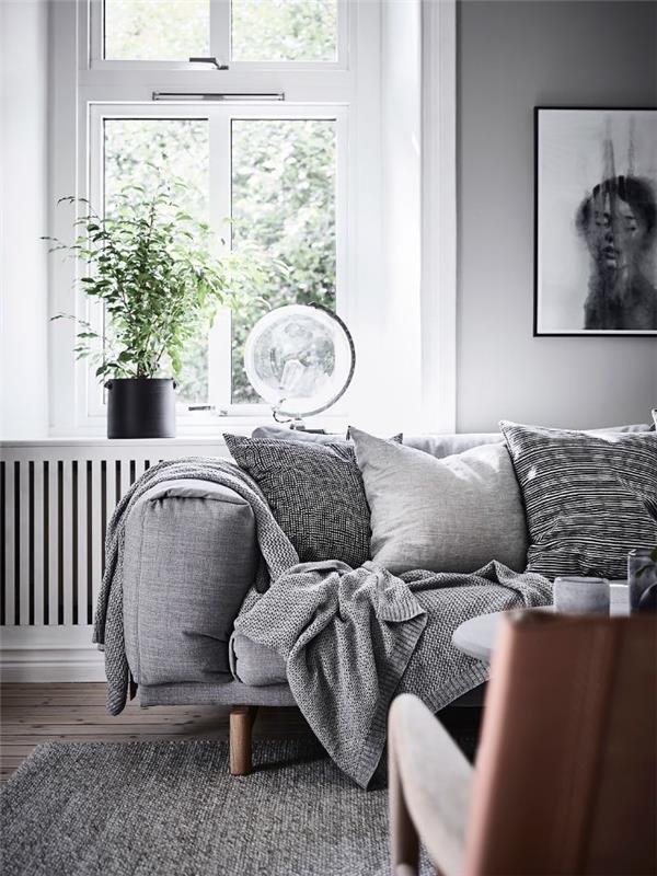 pilka ir balta gyvenamojo kambario dekoras jauki pilka sofa ir kilimas baltos sienos žalias augalų vazoninis kokonavimas