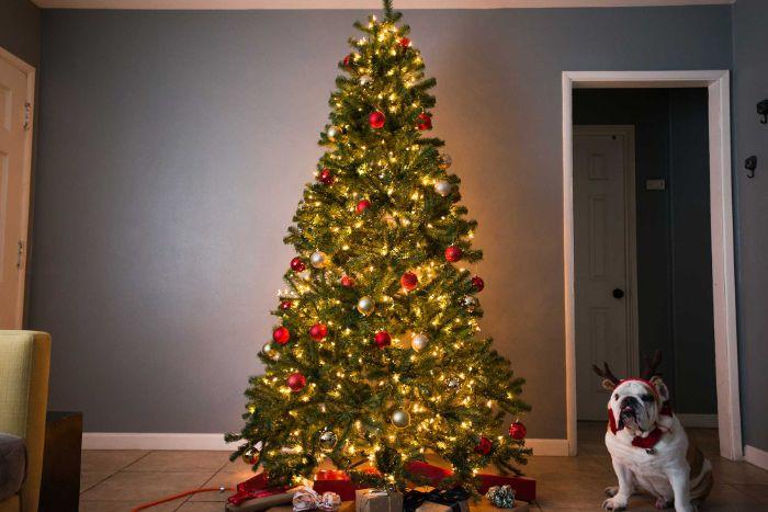 Deco umetno božično drevo z rdečimi srebrnimi kroglicami in svetlobnimi darilci iz kostnega mozga v nogah dreves