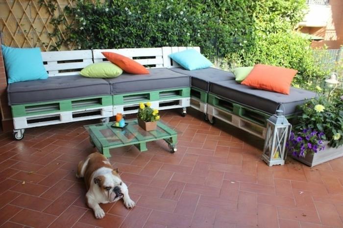 yeşil ve beyaz tekerlekli bir köşe kanepede gri palet bahçe minderi, cam üstlü palet sehpa, sevimli köpek, yeşil duvar