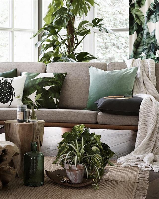 Uzun yeşil bitkiler, yeşil minderli gri kanepe ve beyaz yeşil yaprak, oda bitkisi, ne kadar moda bir iç yeşil bitki fikri