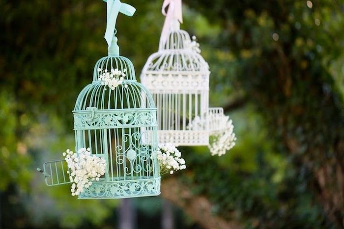 podeželski poročni dekor, raztrgan šik, modro -beli zaboj za ptice, preprosta dekoracija z belimi cvetovi