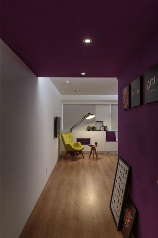 sodoben dekor hodnika z vijolično pobarvano steno in stropom s pogledom na moderno belo dnevno sobo, dekor hodnika s steno iz črnih okvirjev