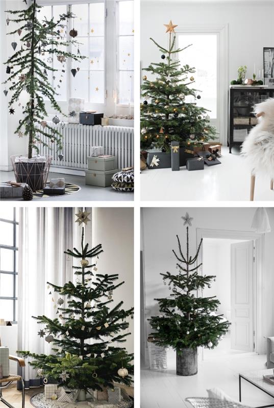 İskandinav tarzı Noel ağacı dekorasyonu, İskandinav tarzı bir iç mekanda saksılara yerleştirilmiş doğal Noel ağaçları