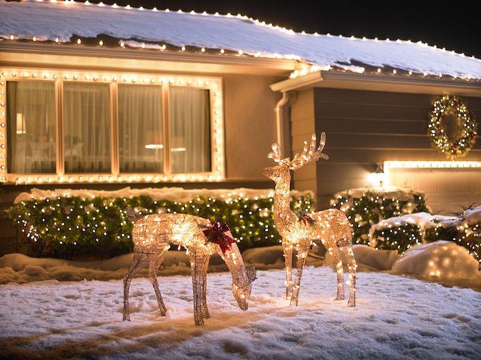 ryški lauko Kalėdų puošmena su dekoratyviniais elniais ir apšviestais krūmais