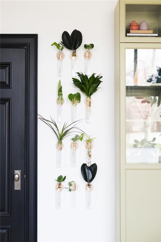 duvarlarda yeşil bitkilerle iç mekanınızı nasıl dekore edersiniz, cam bir kap içinde duvarda asılı saksı fikri