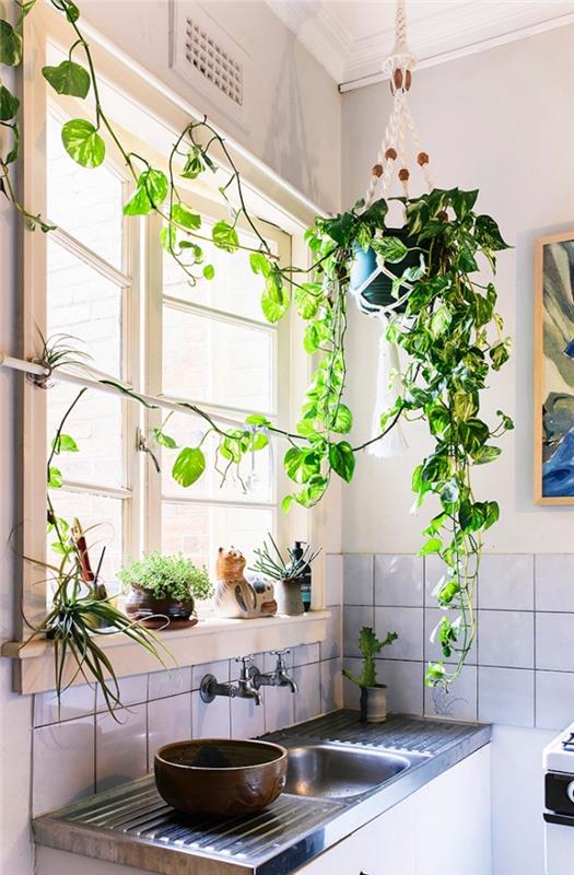 yeşil bitkilerle bir mutfak nasıl dekore edilir, bohem bir ruhla döşenmiş sınırlı alan için diy makrome sarkıt ışık