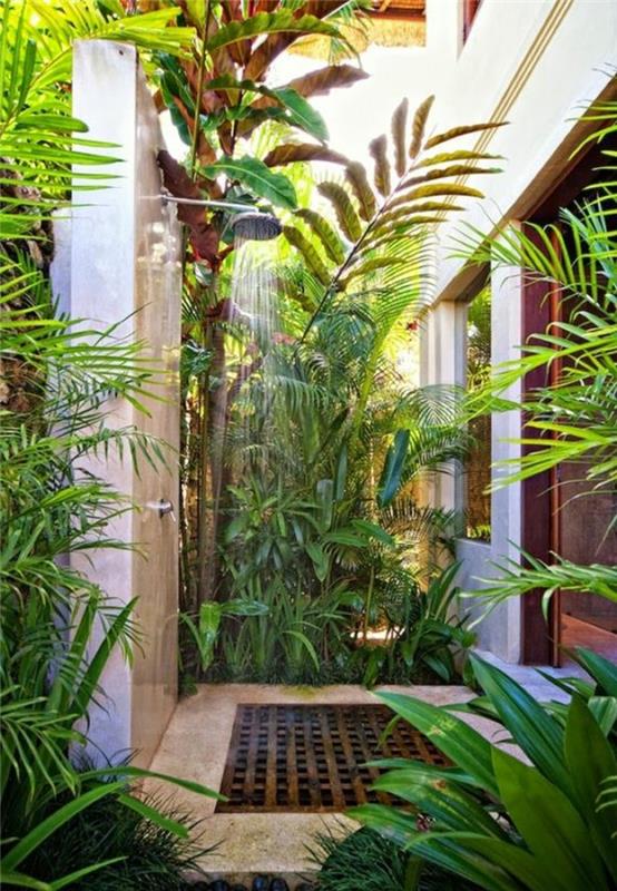vonios kambario apdaila, tropiniai augalai ir paprastas lauko dušas