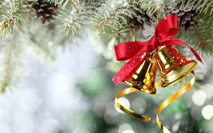 božično-okrasje-božično drevo-okrašeno-de-noel-etoile-glej-podrobnosti
