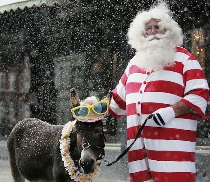 funny-santa-hat-costume-mexico-ryauresgifi