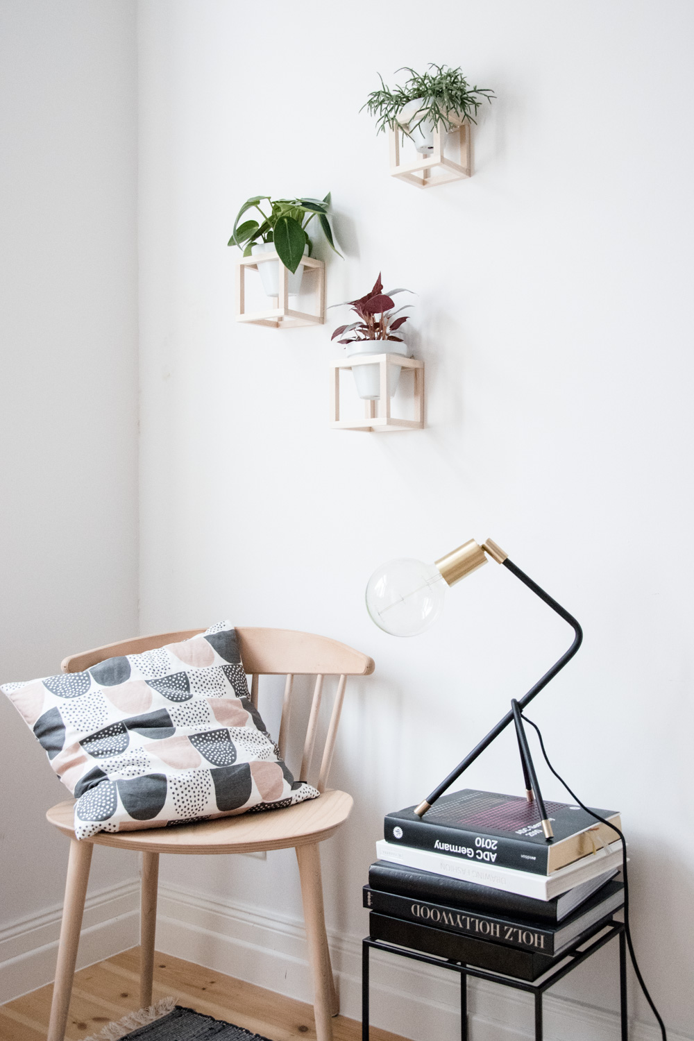 Plantas de interior en la pared.