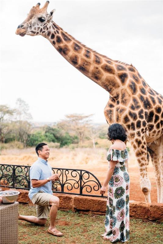 izvirna poroka med potovanjem v Afriko, obisk žirafe, eksotični park, izvirna ponudba