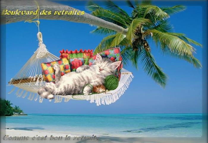pensija, pensijos kortelė, kvietimas, pensininkų bulvaras, baltas kačiukas, gerai leidžiantis laiką salos paplūdimyje