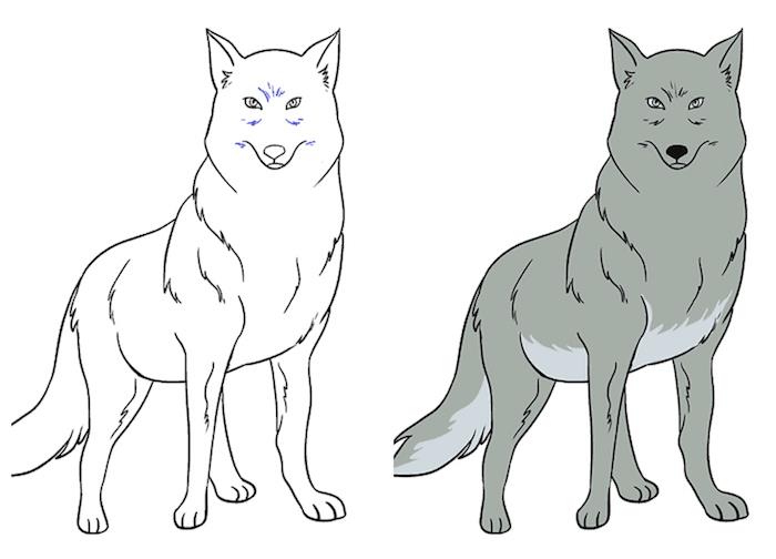 izvirna risba, ki jo naredite sami, živalski volk črno -bele barve s sivo barvo, naučite se zlahka risati