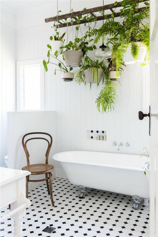baltos ir juodos šachmatų lentos plytelės, augalų laikiklis, kabantis ant senų medinių kopėčių, dešimt baltų vazonų su žaliais augalais, kambarinis augalas, vonios kambario pinterest
