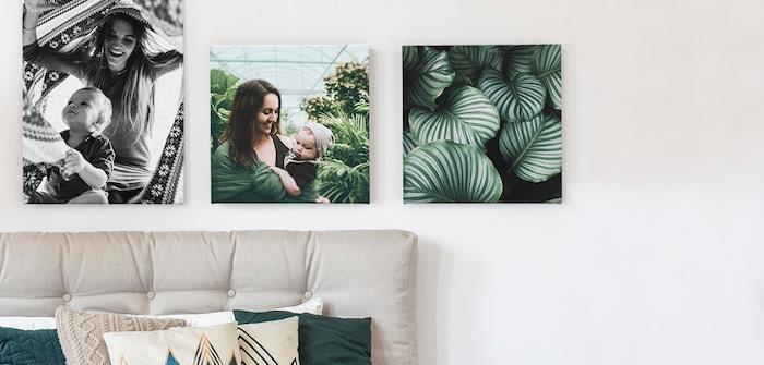 družinske fotografije, natisnjene na črno -belem okrasnem platnu in zelenih rastlinah