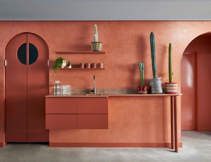 virtuvės dizainas ilgio egzotiško stiliaus tapyba sienos terakotos baldai be rankenų purslų siena laikymo lentyna kaktusas interjeras