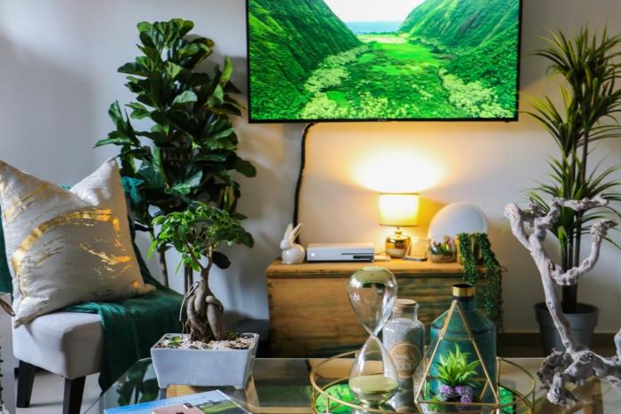 zamislite, kako okrasite dnevno sobo v slogu jungalow z lesenim pohištvom in več sobnimi zelenimi rastlinami