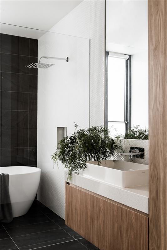 vonios kambario išdėstymas balta ir medinė su dušo kabina ir vonia, vonios plytelių idėjos juodos spalvos