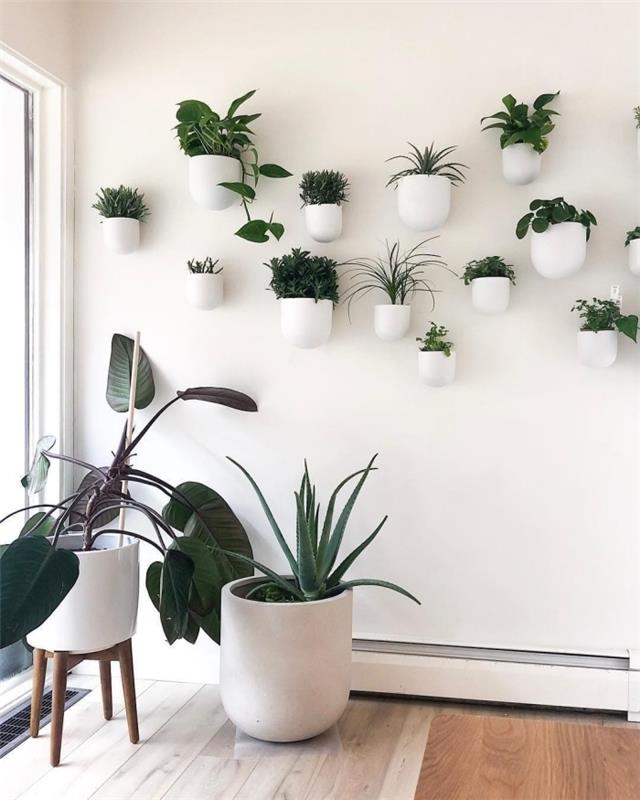 minimalistinis boho interjero dizainas dideli puodai augalų sienų dekoravimas balti puodai dideli maži