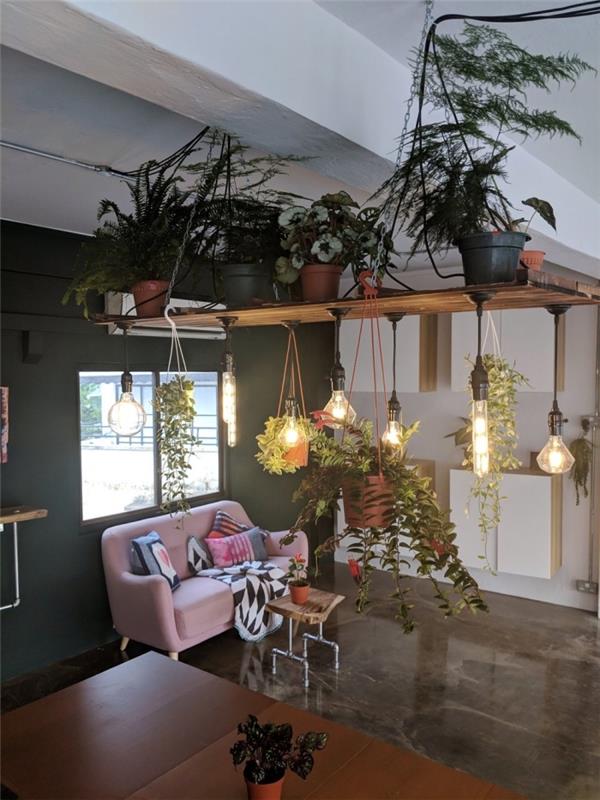 karanlık duvarlar ve ham ahşap ve metal aksan ile endüstriyel tarz oturma odası dekoru, iç mekan bitkileri için destek fikri