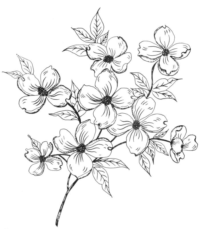 Črno -bela poenostavljena risba šopek rož risanje čudovito idejo risanje rože črno -belo