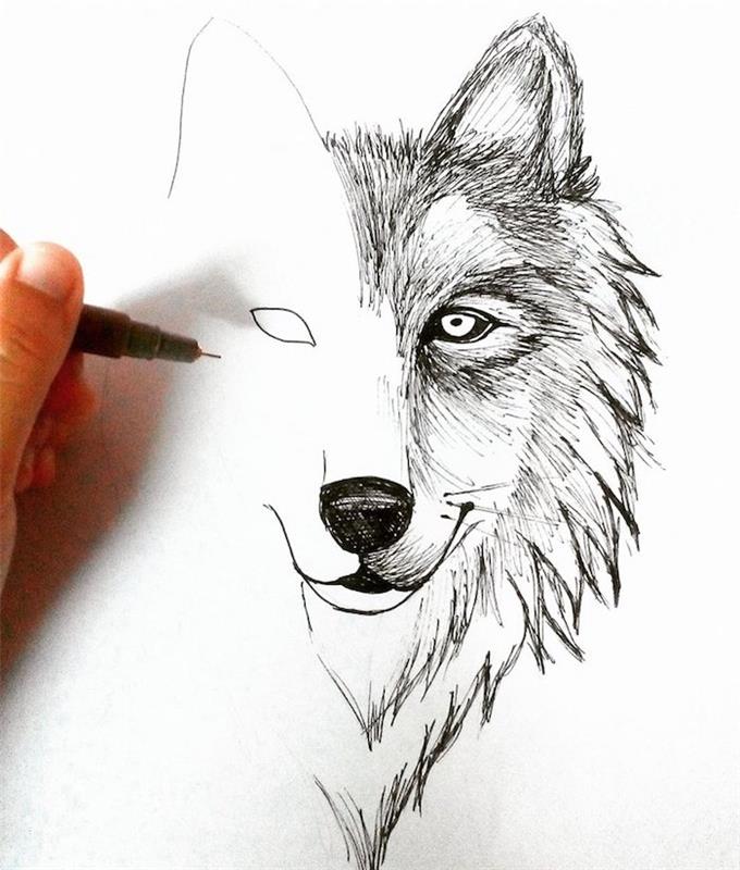risba glave volka, kako olajšati reprodukcijo risbe s finim peresom na praznem listu