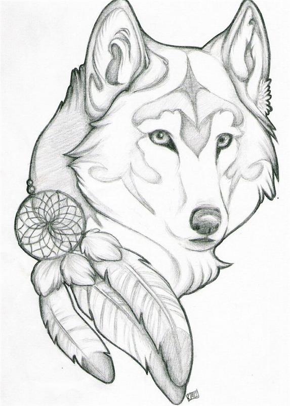 naredite plemensko volčjo risbo glave živali in lovilca sanj na dnu, ideja domorodnega ameriškega simbola, oblikovanje tetovaže volka