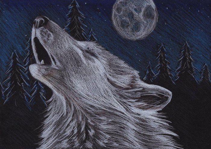 model risbe oglja, grozljiva nočna pokrajina volka, ki zavija v mesečini v gozdu s črnimi silhuetami dreves