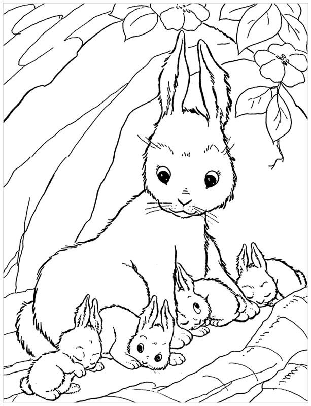 Baskı için Paskalya çizimi, doğada tavşan ailesi ile boyama fikri, küçükler için boyama örneği