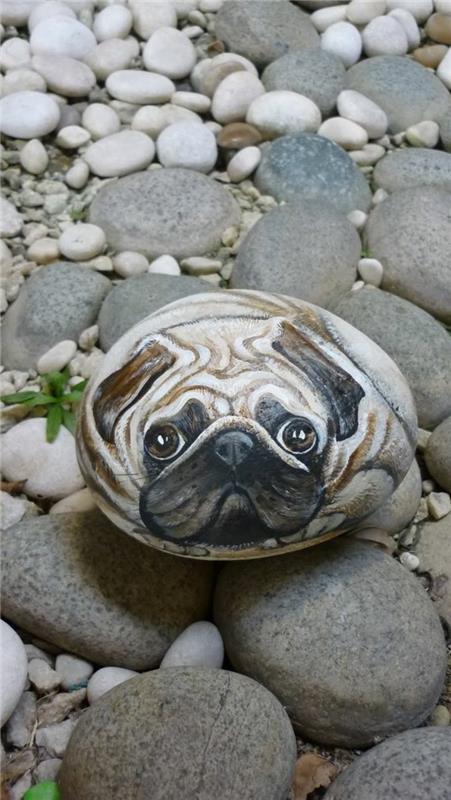 tapydamas akmenukus, liečiančios išvaizdos šuo sunkiai atkūrė akmenuką