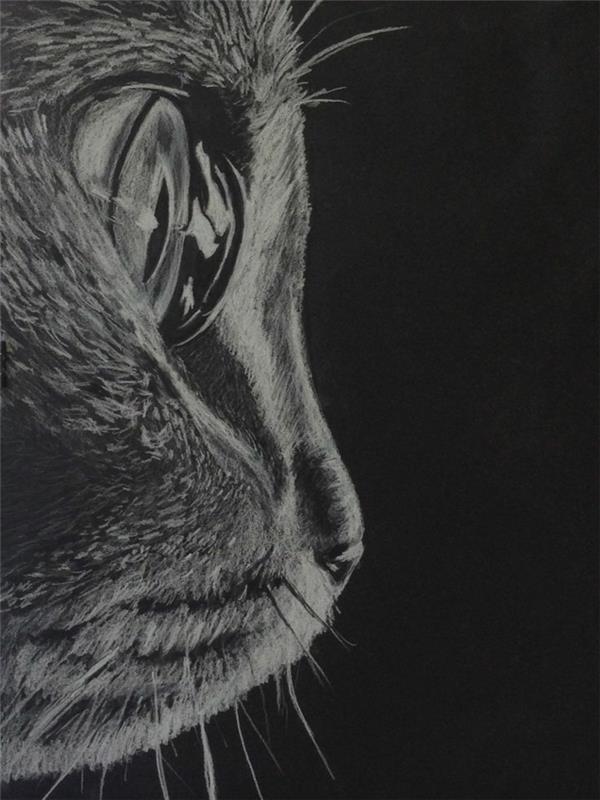 Siyah kağıt beyaz kalem gerçekçi kedi yapmak için basit çizimde siyah beyaz bir kedi çizim fotoğrafı çizin