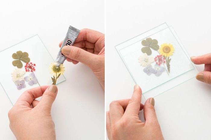 ideja za materinski dan DIY na herbarijsko temo, originalne steklene podstavke in mini stisnjene rože