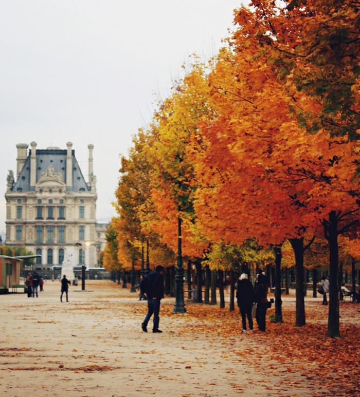 destinacija-sprehodi-v-paris-obisk-sprehodi-v-paris-promenada-jesen