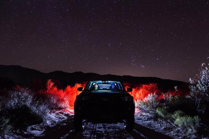 automobilis Arizonos dykumoje vidury nakties, du joje žvelgiantys į žvaigždėtą dangų, augalija raudonai apšviesta automobilio žibintų