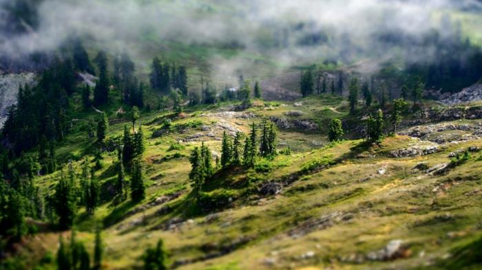 kalnas su eglėmis, išsibarstę šlaituose, skaidrūs balti debesys, sukuriantys mistinę atmosferą, uolėtas kraštovaizdis, dangiškas kraštovaizdis