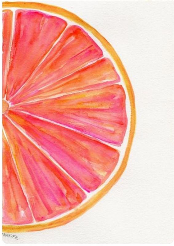 Uno spicchio di pompelmo, disegno con colori acquarello, schizzo di frutta