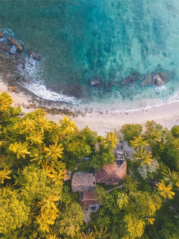 Palmiye ağaçları, kum ve deniz birlikte, yukarıdan güzel fotoğraf, doğa duvar kağıdı, cennet manzarası, quadrocopter ile profesyonel fotoğrafçılık
