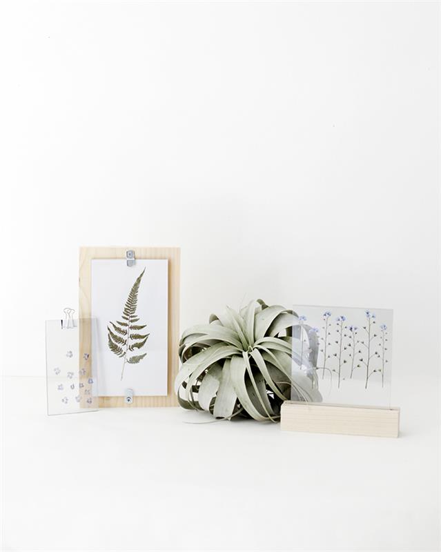 ustvarite izviren rastlinski okvir iz lesa, stekla in stisnjenih rastlin za botanično navdihnjen dekor