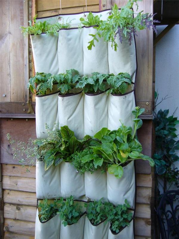 pasidaryk pats augalų sodas audinių lentynoje su kišenėmis