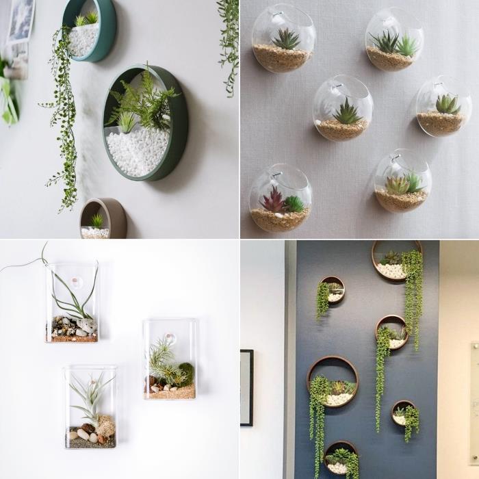 „pasidaryk pats“ terariumas augalų sienoms pakabinti augalų dekoravimas sultingas stiklo indas
