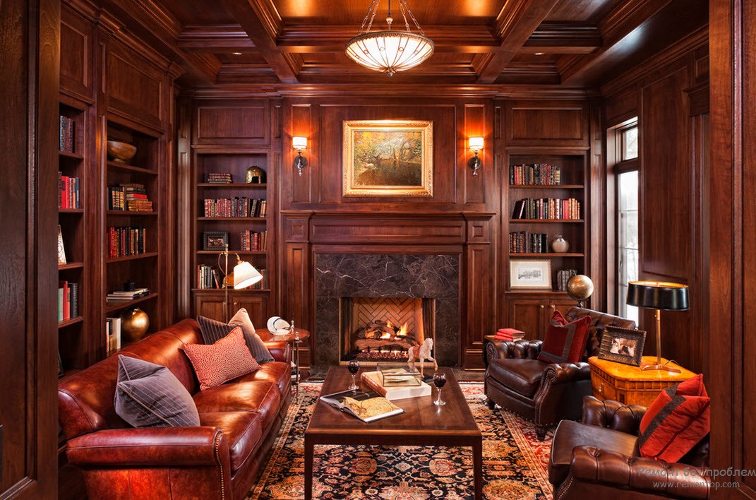 Hermosa sala de estar con biblioteca, sofás de cuero y krels