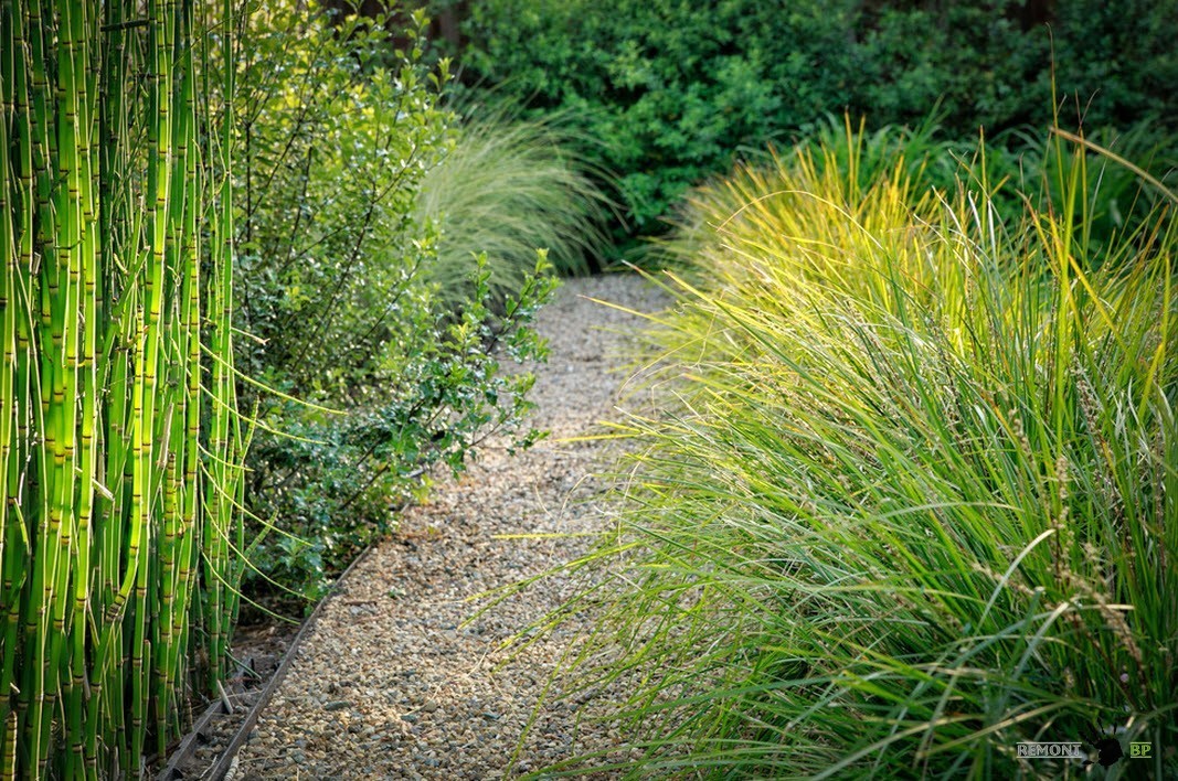 Caminhos de jardim