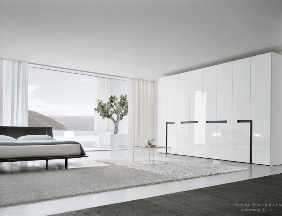 Uma árvore no interior de um espaçoso quarto branco no estilo minimalista
