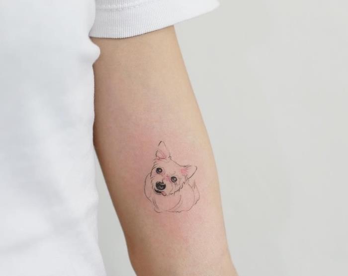 luštne tetovaže za dekleta, pes gleda navzgor, tetovaža z notranjo roko, bela majica, belo ozadje