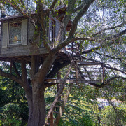 Casa em uma árvore frondosa